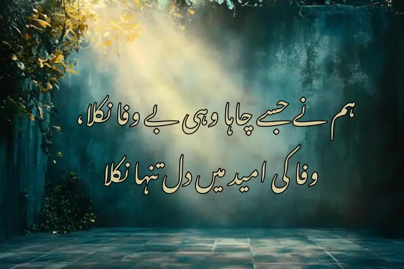 ہم نے جسے چاہا وہی بے وفا نکلا،