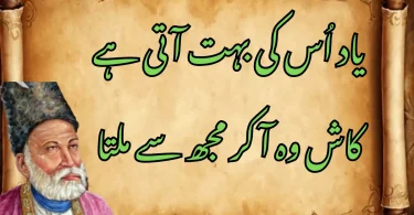 یاد اُس کی بہت آتی ہے، کاش وہ آ کر مجھ سے ملتا۔
