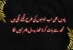 یادیں بھی اب خوابوں کی طرح لگنے لگی ہیں تجھ سے بات کرنا تھا، پر دل پھر نہیں لگا