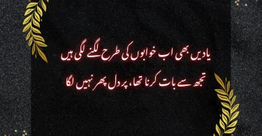یادیں بھی اب خوابوں کی طرح لگنے لگی ہیں تجھ سے بات کرنا تھا، پر دل پھر نہیں لگا