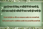 टूटा है जब से दिल, न साँसों में वो रवानी है, तेरी याद आई तो आँखों में बस पानी ही पानी है।